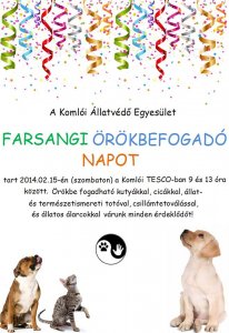 Örökbefogadó nap Komlón 2014. február 15-én.